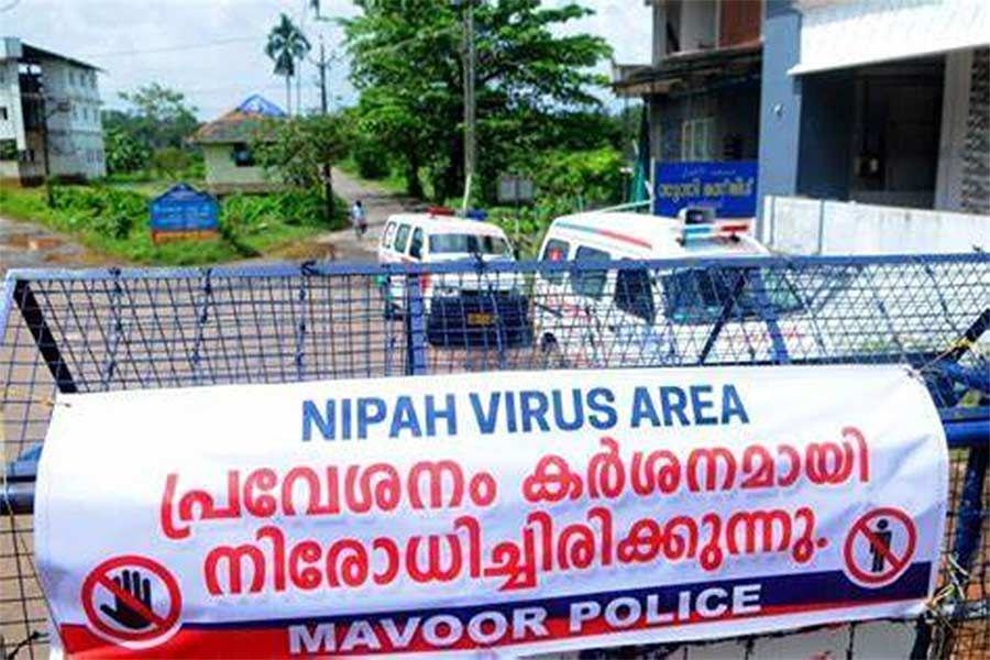 Nipah Virus in India Now| What Is Nipah Virus | What are the symptoms of Nipah virus |The Rising India